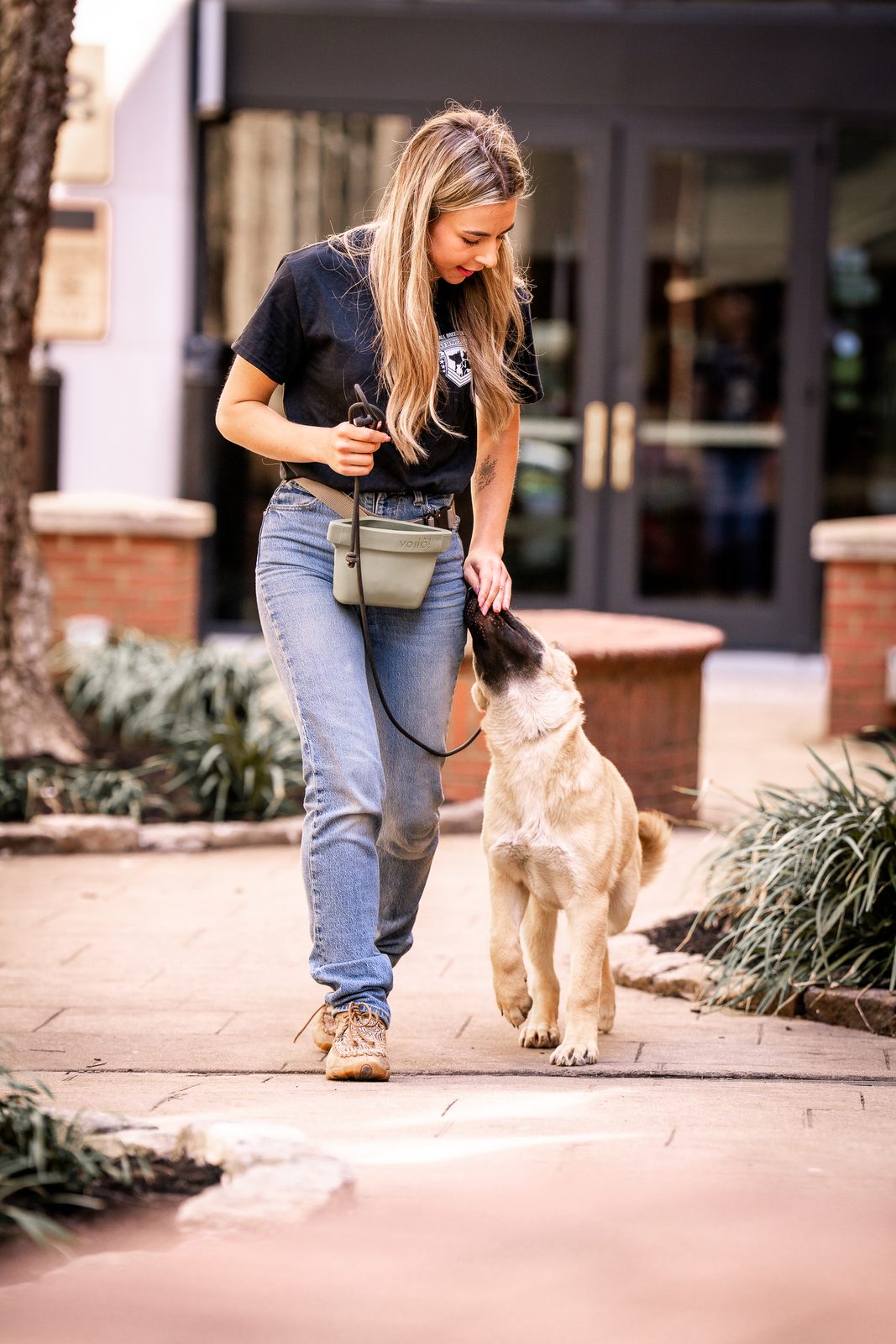 A trainer walks a young golden retriever at heel on leash across a brick plaza